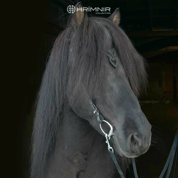 unity_lava_black_horse