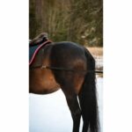 479900-tolksele-6-510×510