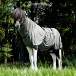 eczema_rug_whole_horse_ok_1