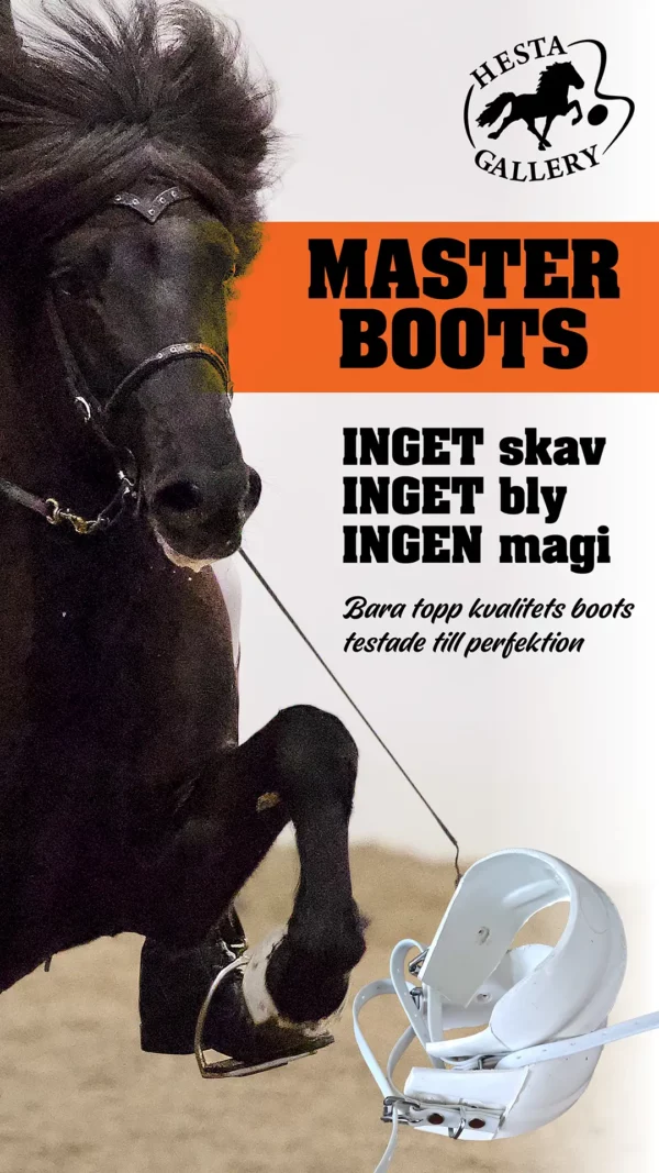 IN-MasterBoots-SE-1080x1920px
