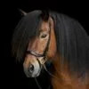 anatomical_noseband_heritage_draupnir_square