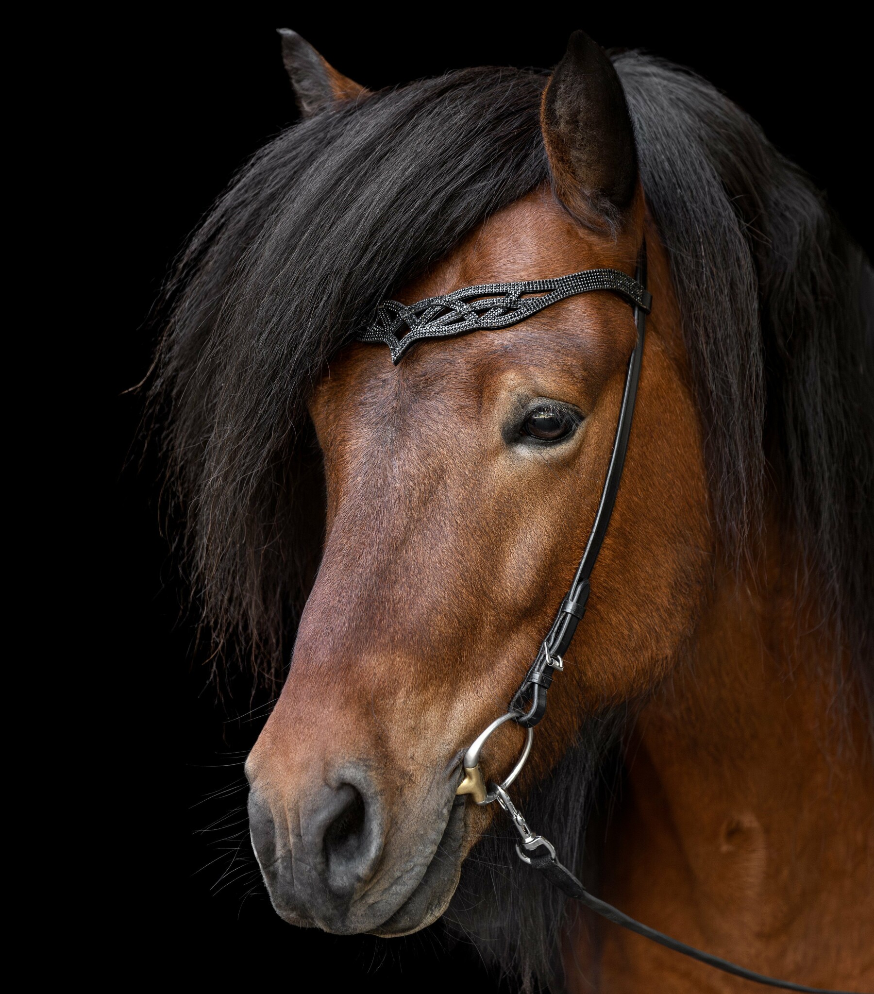 headstall_heritage_b_-_lava_draupnir_small
