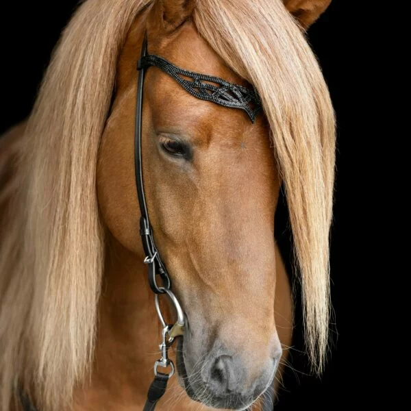 headstall_heritage_b_-_lava_funi_square