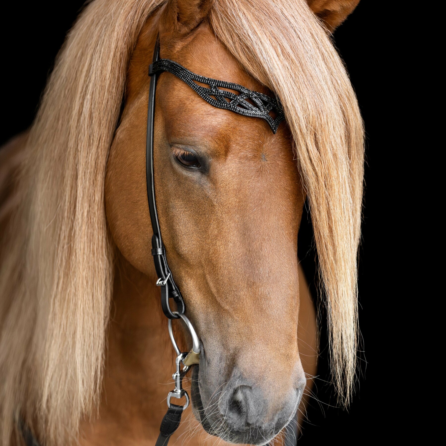 headstall_heritage_b_-_lava_funi_square