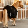 fleece_rug_behind