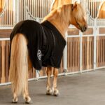 fleece_rug_behind