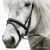 Hrimnir_flash_strap_2