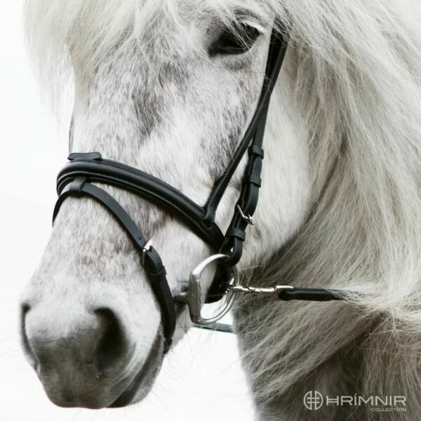 Hrimnir_flash_strap_2