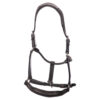 EQ63100_Leather_Halter-20250115-1642