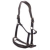 EQ63100_Leather_Halter-20250115-1647