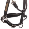EQ63100_Leather_Halter-20250115-1650