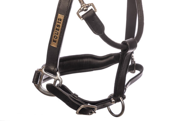 EQ63100_Leather_Halter-20250115-1650
