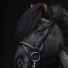 topreiter-bridle-english-demantur-gold-full_1920x1920