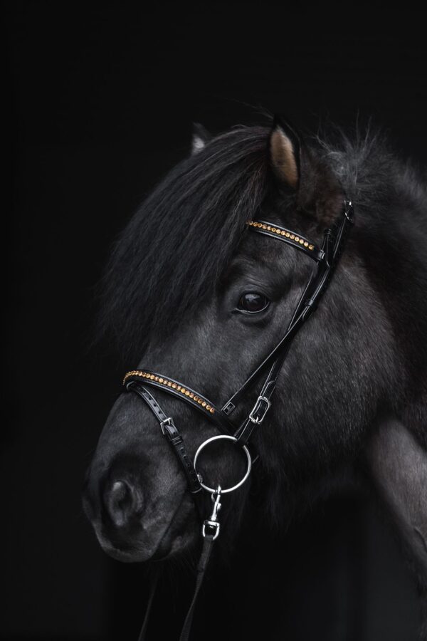 topreiter-bridle-english-demantur-gold-full_1920x1920