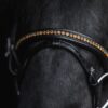 topreiter-bridle-english-demantur-gold-noseband-detail_1920x1920