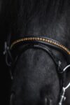 topreiter-bridle-english-demantur-gold-noseband-detail_1920x1920