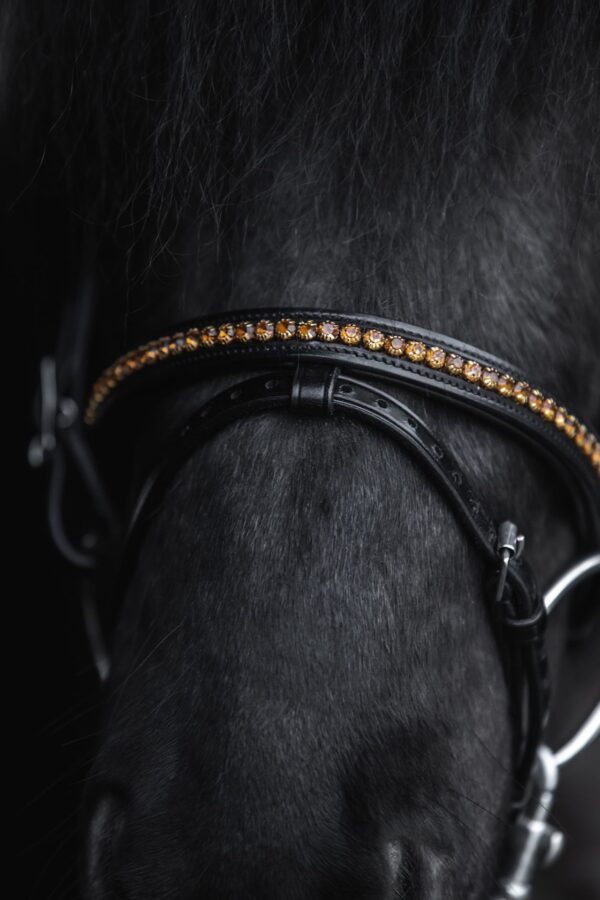 topreiter-bridle-english-demantur-gold-noseband-detail_1920x1920