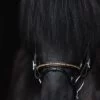 topreiter-bridle-english-demantur-gold-noseband_1920x1920