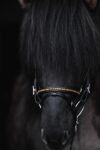 topreiter-bridle-english-demantur-gold-noseband_1920x1920