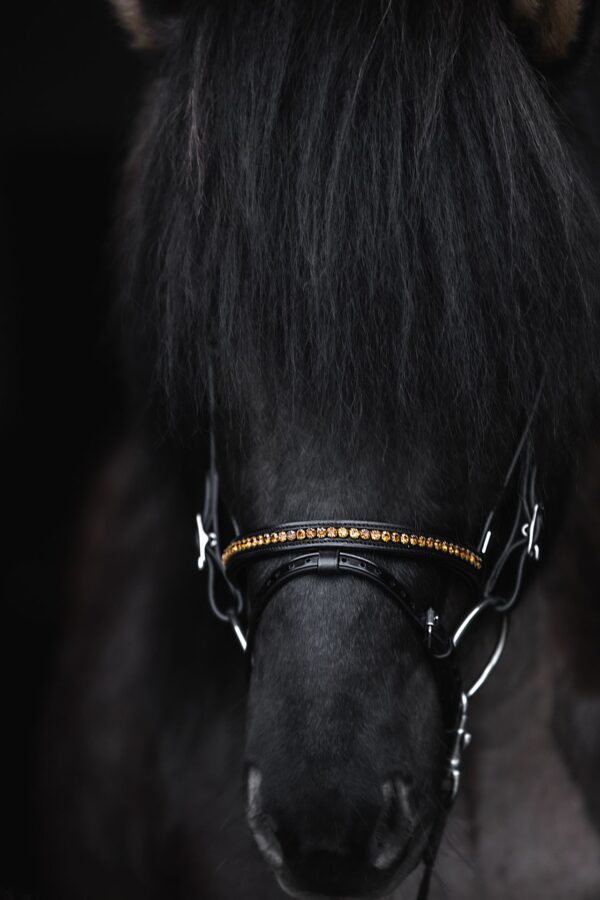 topreiter-bridle-english-demantur-gold-noseband_1920x1920