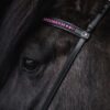 topreiter-bridle-english-demantur-pink-headstall_1920x1920