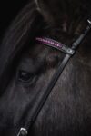 topreiter-bridle-english-demantur-pink-headstall_1920x1920