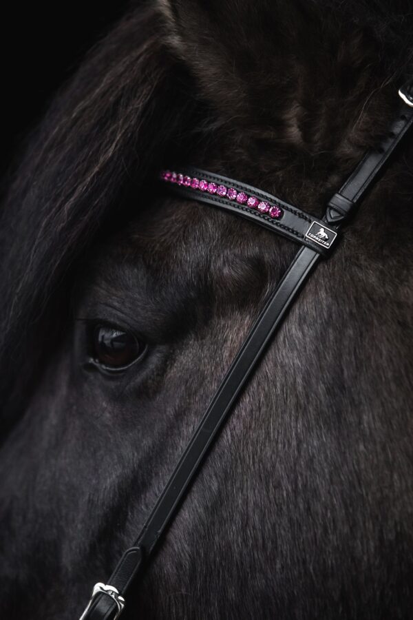 topreiter-bridle-english-demantur-pink-headstall_1920x1920