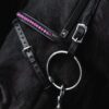 topreiter-bridle-english-demantur-pink-noseband_1920x1920
