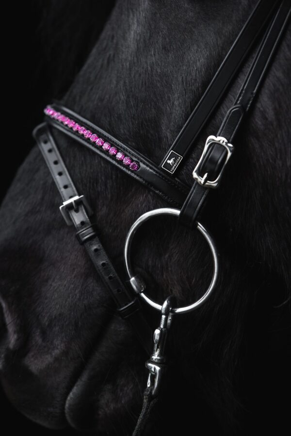 topreiter-bridle-english-demantur-pink-noseband_1920x1920