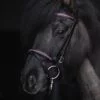 topreiter-bridle-english-demantur-pink_1920x1920