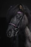 topreiter-bridle-english-demantur-pink_1920x1920