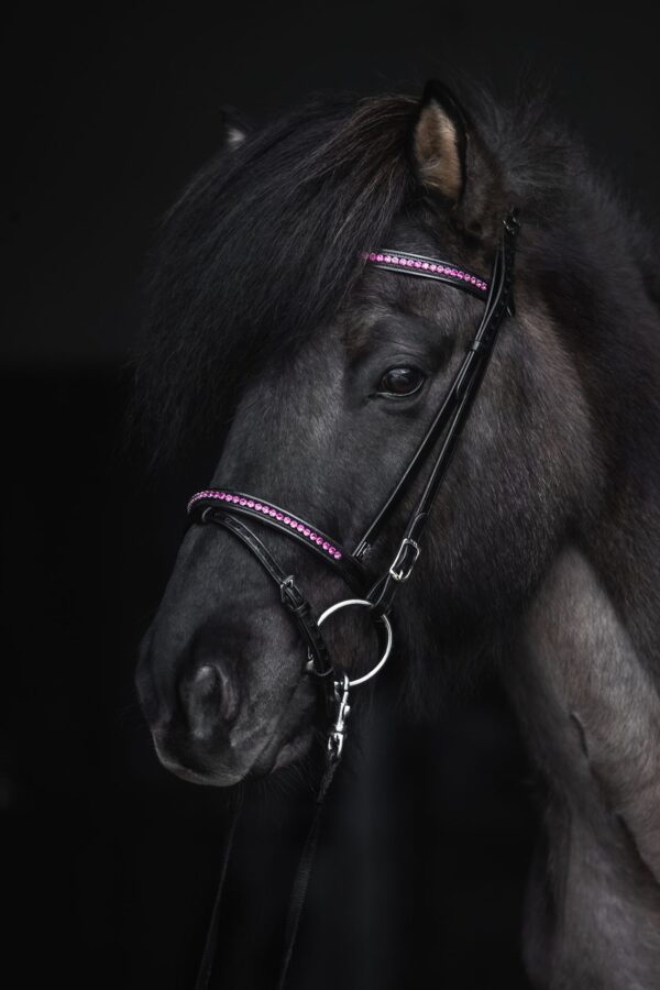 topreiter-bridle-english-demantur-pink_1920x1920