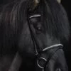 topreiter-bridle-english-demantur-white-full-portrait_1920x1920