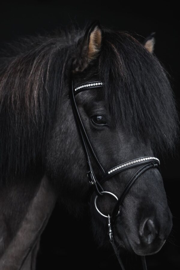 topreiter-bridle-english-demantur-white-full-portrait_1920x1920