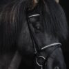 topreiter-bridle-english-demantur-white-full_1920x1920