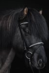 topreiter-bridle-english-demantur-white-full_1920x1920