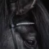 topreiter-bridle-english-demantur-white-headstall_1920x1920
