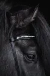 topreiter-bridle-english-demantur-white-headstall_1920x1920