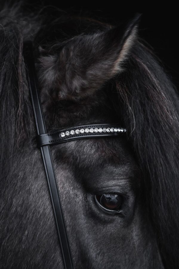 topreiter-bridle-english-demantur-white-headstall_1920x1920