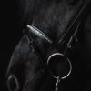 topreiter-bridle-english-demantur-white-noseband_1920x1920