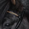 topreiter-hedstall-demantur-gold-detail_1920x1920