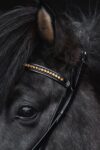 topreiter-hedstall-demantur-gold-detail_1920x1920