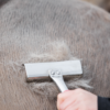 topreiter-horsecare-currycomb-use_1920x1920