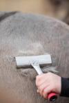 topreiter-horsecare-currycomb-use_1920x1920