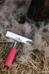 topreiter-horsecare-hair_1920x1920