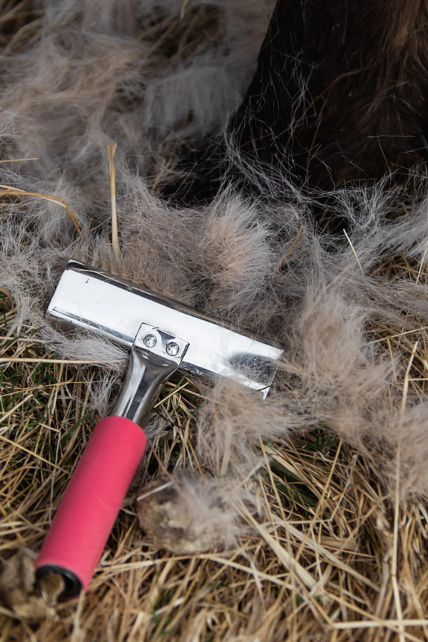 topreiter-horsecare-hair_1920x1920