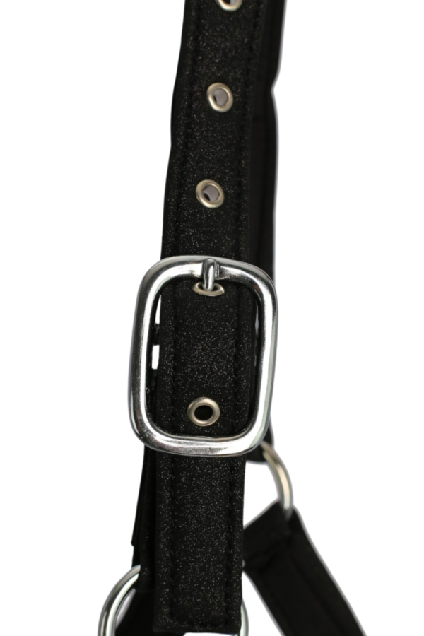 topreiter-halter-glitrandi-black-buckle_1920x1920