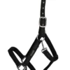 topreiter-halter-glitrandi-black-full_1920x1920