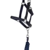 topreiter-halter-glitrandi-blue-studio_1920x1920