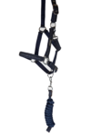 topreiter-halter-glitrandi-blue-studio_1920x1920